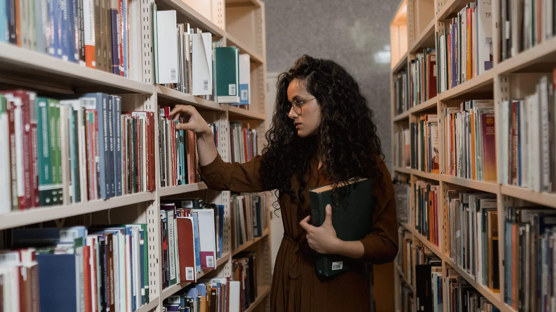 Curso de verano biblioteca